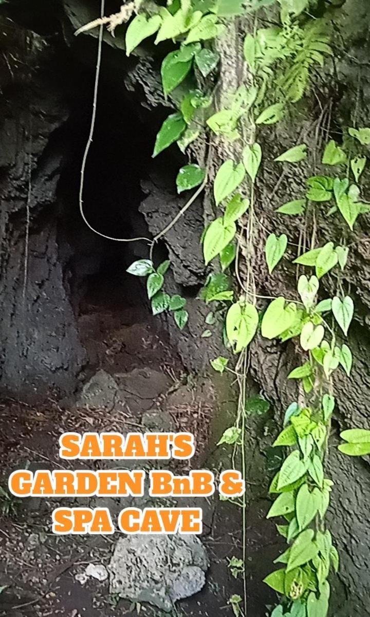 Sarah'S Garden Bnb & Spa Bed & Breakfast Clarin  Екстериор снимка